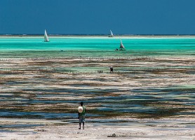 Zanzibar : la perle tanzanienne à explorer