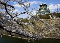 Château d'Osaka 