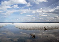 Lac Khövsgöl 