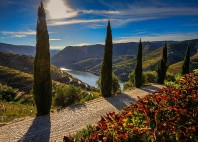 Vallée du Douro 