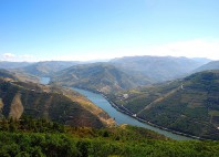 Vallée du Douro 