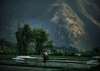 Mai Chau 