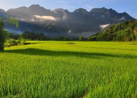 Mai Chau 