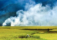 Mai Chau 