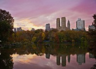Central Park 