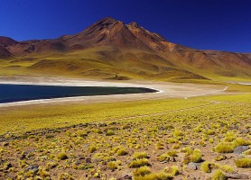 Lagunas Altiplánicas : une splendeur à couper le souffle