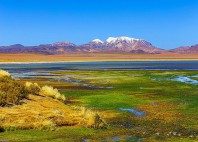 Lagunas Altiplánicas 
