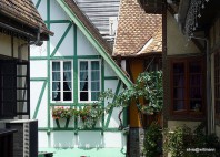 Blumenau 