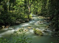 Chutes de Kawasan 