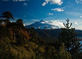Parc national Conguillío : le Chili à l’état sauvage !