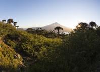 Parc national Conguillío 