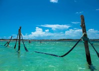Jericoacoara 
