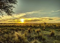 La Pampa 