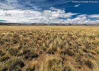 La Pampa 