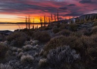 Lago Argentino 