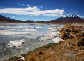 Laguna Hedionda : le lac aux flamants roses