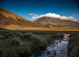 Reserva Nacional Malalcahuello : une merveille de la nature