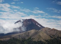 Reserva Nacional Malalcahuello 