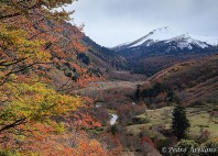 Reserva Nacional Malalcahuello 