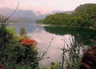 Parc national de Nahuel Huapi 