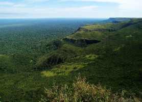 Parc national Noel Kempff : le sensationnel refuge bolivien