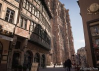 Notre Dame de Strasbourg 