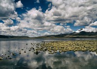 Parc national Lauca 