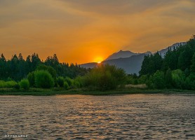Parc national Los Alerces : une fascinante expédition