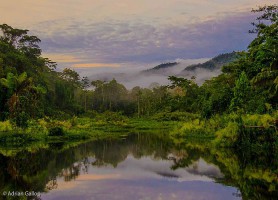 Parc national de Manú : un naturel exotique d’une beauté inouïe