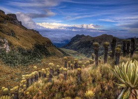Parc Los Nevados : la merveilleuse demeure de la nature