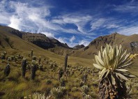 Parc Los Nevados 