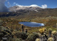 Parc Los Nevados 