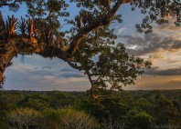 Parc national Yasuni 