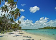 Praia dos Carneiros 