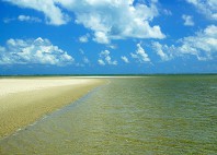 Praia dos Carneiros 
