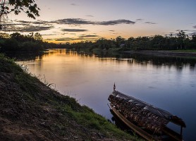 Reserva Nacional Pacaya-Samiria : le flamboyant habitat naturel