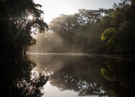 Reserva Nacional Pacaya-Samiria 