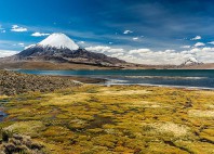 Parc national de Sajama 