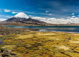 Parc national de Sajama : le naturel joyau de la Bolivie