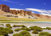 Salar de Tara 
