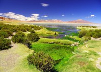 Salar de Tara 