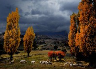 San Martin de los Andes 