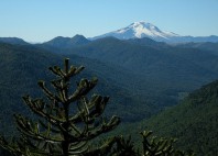 Parc national Tolhuaca 