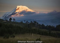 Volcan Cayambe 
