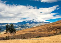 Volcan Cayambe 