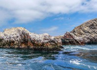 îles Ballestas 