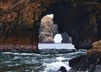 îles Ballestas 