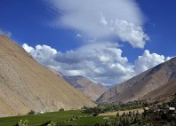 Vallée de l'Elqui 