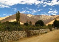 Vallée de l'Elqui 