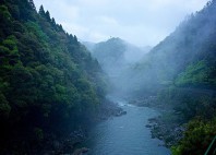Arashiyama 